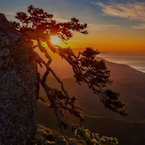  مگه نقاش بودم که این همه کشیدم بگو چرا قرمز شده پیرهن سفیدم